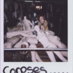 Corpses
